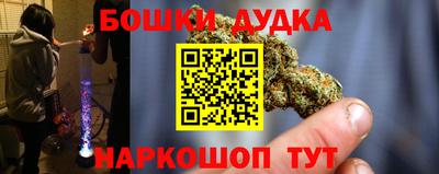 СК Дубна