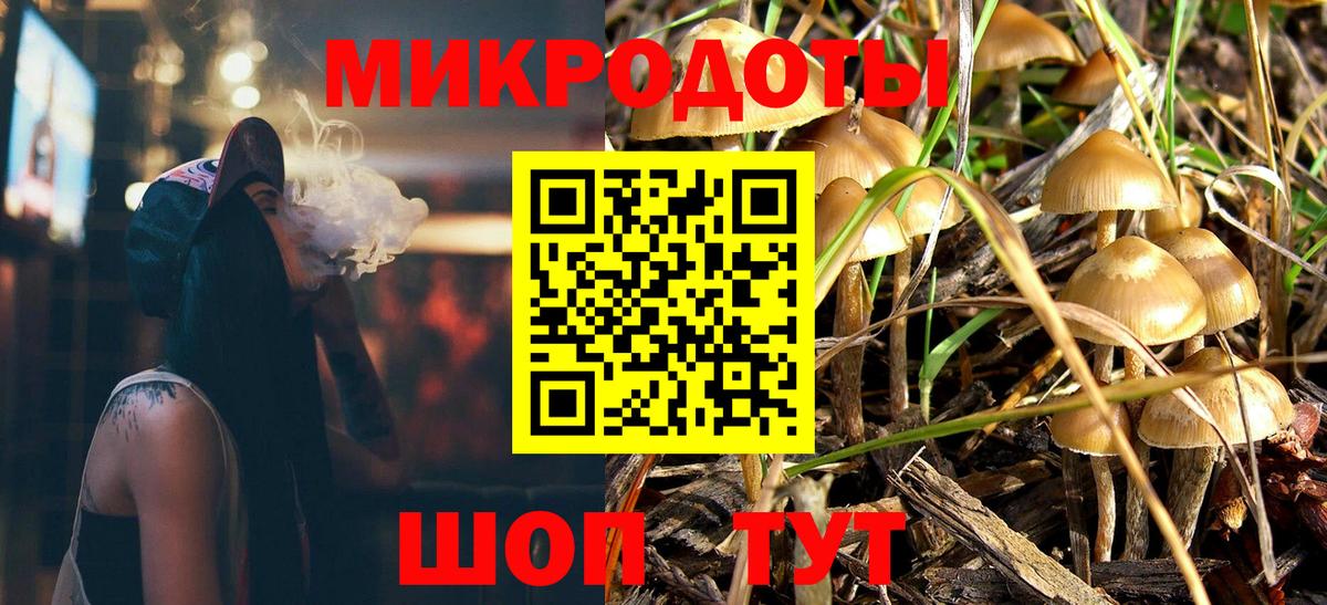 Галлюциногенные грибы MAGIC MUSHROOMS Камень-на-Оби