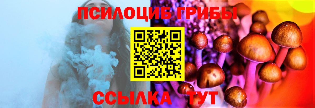 Камень-на-Оби  Псилоцибиновые грибы MAGIC MUSHROOMS  Вход с VPN 